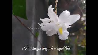 Download lagu Story wa Cinta membawa derita mp3 Download lagu Story wa Cinta membawa derita mp3