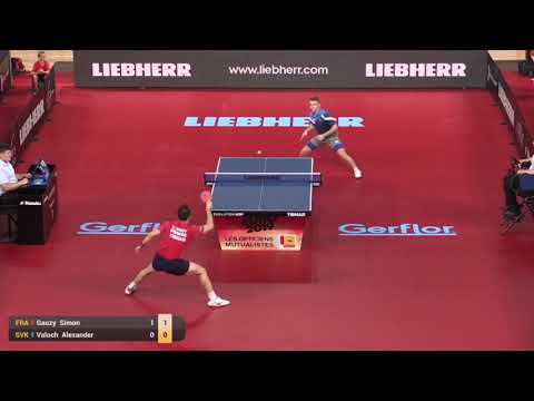 Simon Gauzy - Alexander Valuch