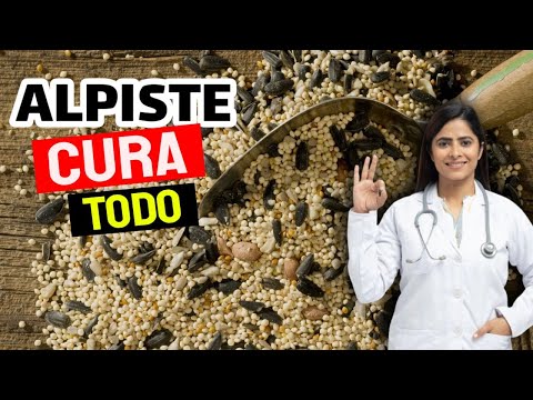 📢 What is canary seed used for & How should it be taken ✅ *How to prepare canary seed milk* ✅