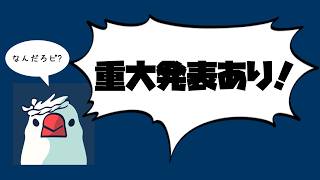 来週相席食堂に出ます、あと重大発表もあります