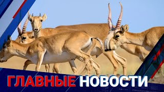 29.06.2022 21:00 Главные новости