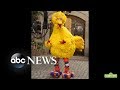 The Man Behind Big Bird Retires From Sesame Street After 50 Years