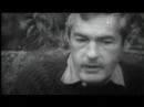 Hofmann's Potion - Timothy Leary and the Art of Ecstasy