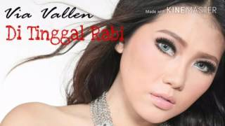 Download lagu Via Vallen 2017 - Di Tinggal Rabi mp3