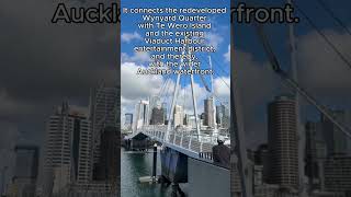 【ニュージーランド】A unique view spot in Auckland 【#shorts 】