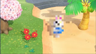 あつ森「久しぶりに住民が引っ越したので離島ガチャをやったらあのオオカミキャラが？？？！！」「あつ森」「離島ガチャ」