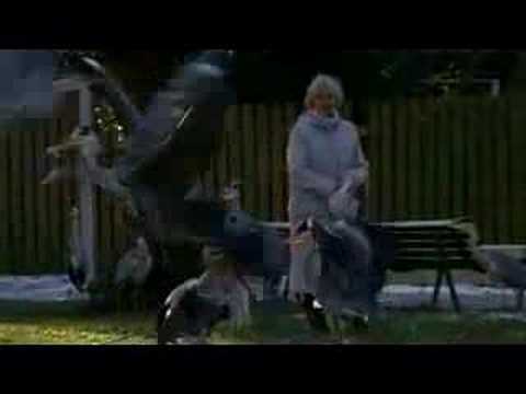 IDFA 2006 | Trailer | Schoffies