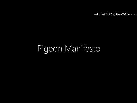 Pigeon Manifesto