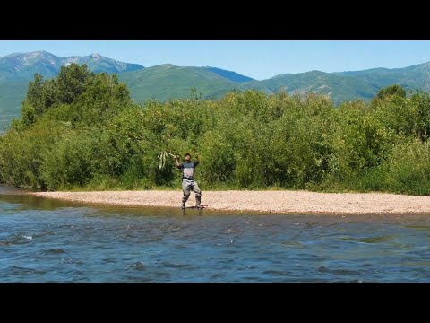 Fly Casting 101:  Fly Casting for Distance