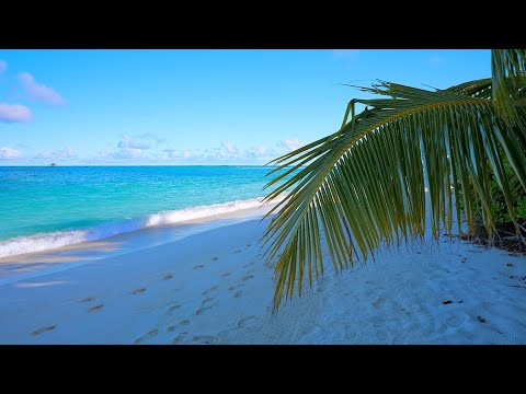Maldives Ocean 4K 🏝 Tropical Beach in Summer. Ocean sounds for sleep and study