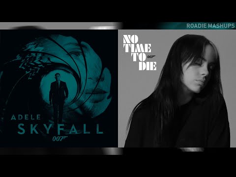 Adele & Billie Eilish - No Time To Fall | MIXED MASHUP