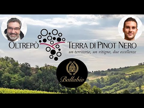 Oltrepò terra di Pinot Nero pt.5 - Mattia Nevelli e la Cantina Ballabio