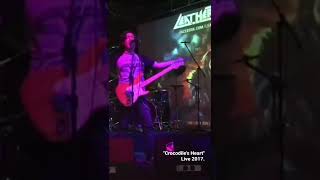 "Crocodile's Heart" - Live 2017. Awesome Gig! #oldbutgold  #live #show #subscribe #playingsolo #band