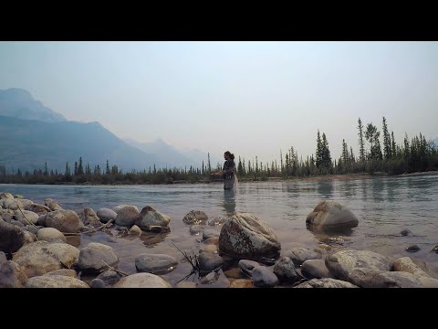 Snaring River Fishing Jasper Alberta! Beautiful Trout!