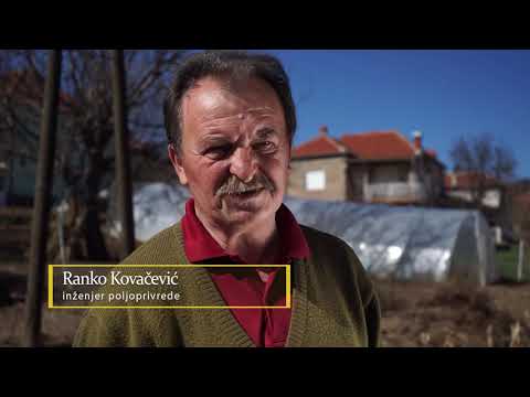 Autohtone vrste Srbije ep. 7 04.04.2019. - Pramenka, rasa ovaca