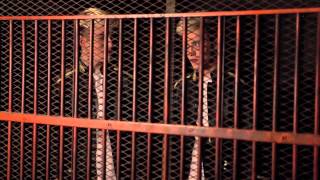 JEDWARD - HAPPENS IN THE DARK