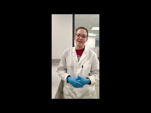 BAOM site with prototype images