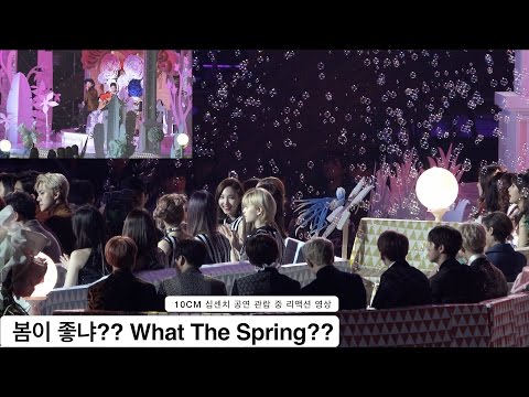 10CM 십센치[4K Reaction 직캠]봄이 좋냐?? What The Spring??@1119 Rock Music