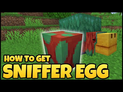 How To Get SNIFFER EGG In MINECRAFT