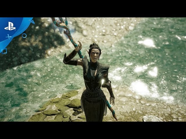 Divinity: Original Sin 2 - Definitive Edition