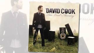 David Cook ~ Fade into me