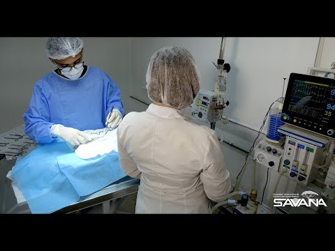 Vídeo - 
