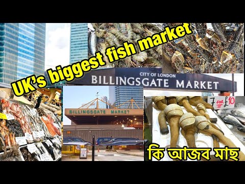 Billingsgate fish market 2021/ uk’s biggest fish market #Billingsgatemarket #Londonfishmarket