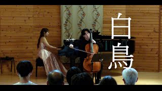 Download lagu 「白鳥」サン=サーンス/Le cygne Saint-Saëns mp3