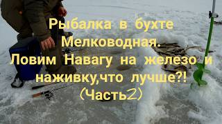 Запреты на рыбалку в приморском крае
