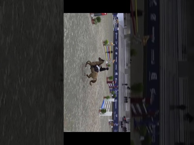 poney pfs As1 / As &eacute;lite