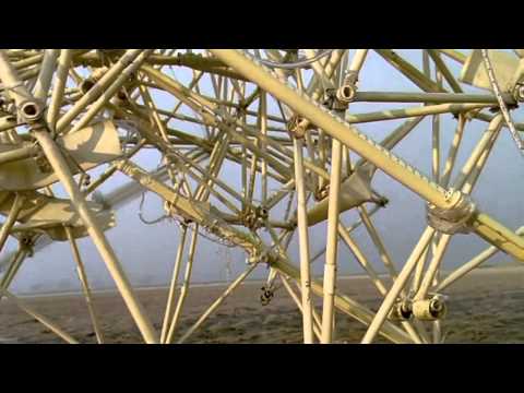 Ukulollo - Strandbeest