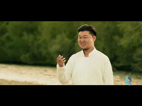 Namriin shargal taria Duuchin P.Tudevdorj  MUSTA  Намрын шаргал тариа Дуучин П.Түдэвдорж МУСТА