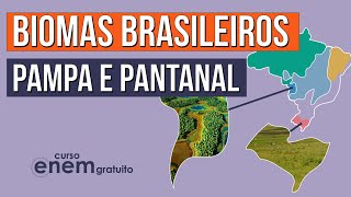BIOMAS BRASILEIROS: Pampa e Pantanal | Biologia para o Enem | Cláudia de Souza Aguiar