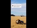 You Ain't No Farm Boy!