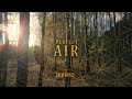 Perfect AIR Slow Shaman Drum Wind Chimes Heart Chakra Balancing Meditation Tantra Music
