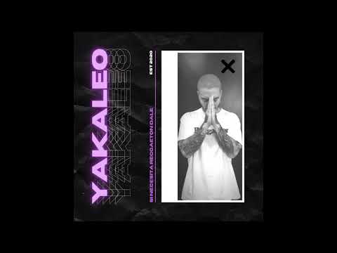 YAKALEO MIX #19 - ⚡ SI NECESITA' REGGAETON DALE ⚡ / REGGAETON MIX