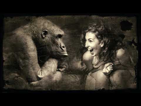 Sorin Vraciul - 1. "Smerenia!" (remix)