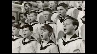 Wiener Sängerknaben -  Ein Vogel wollte Hochzeit machen