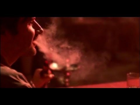 Alexander Blaise | David & Layla (excerpts)