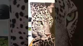 My new “baby”. Welcome😍