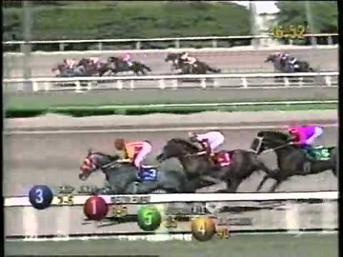 Puerto Madero Segundo Hollywood Gold Cup  G1 1998