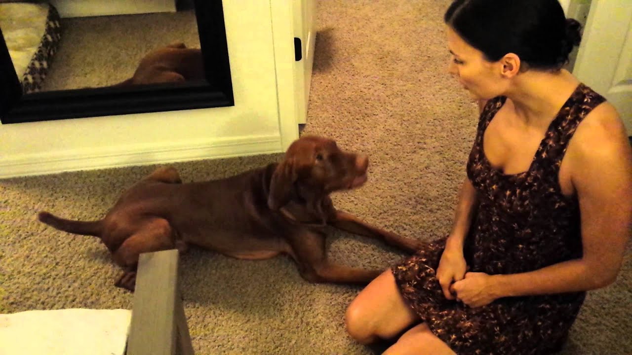 YouTube video preview