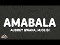 Aubrey Qwana Mjolisi Amabala Lyrics