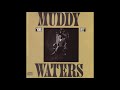 Muddy Waters  - Sad, sad day