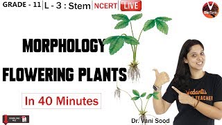 Morphology of Flowering Plants | Stem | Biology Class 11 | NEET |AIIMS | Vani Ma'am| VBiotonic