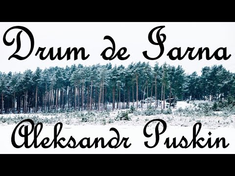 Drum de iarna de  Aleksandr Puskin