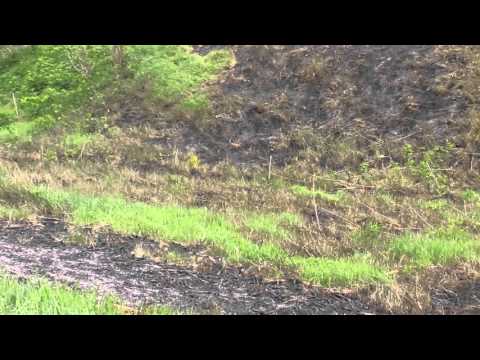 Situl arheologic de la Rediu, punct „La Cetate”