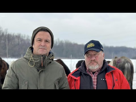 Farsele lui Daniel Buzdugan - Mori de ras @calatorprinlumeee