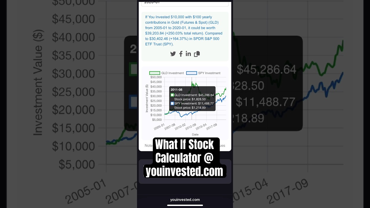 Stock Investment Calculator Demo Video