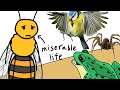 why it sucks to be born as a honeybee